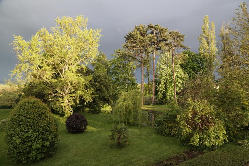 Blacé Chateau De La Flechere B&B 외부 사진