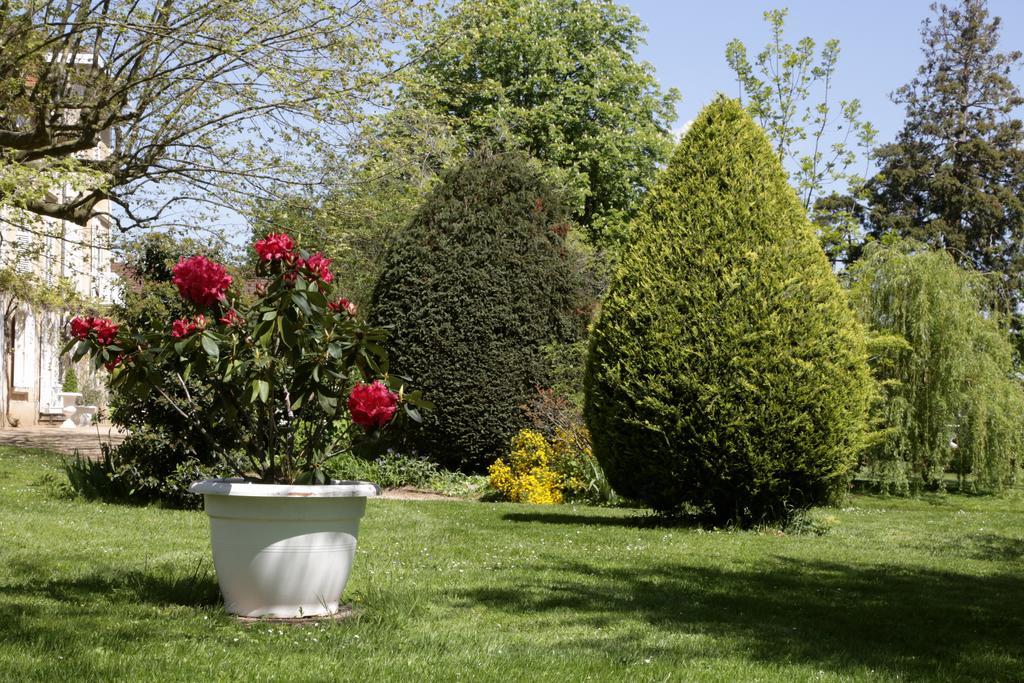 Blacé Chateau De La Flechere B&B 외부 사진